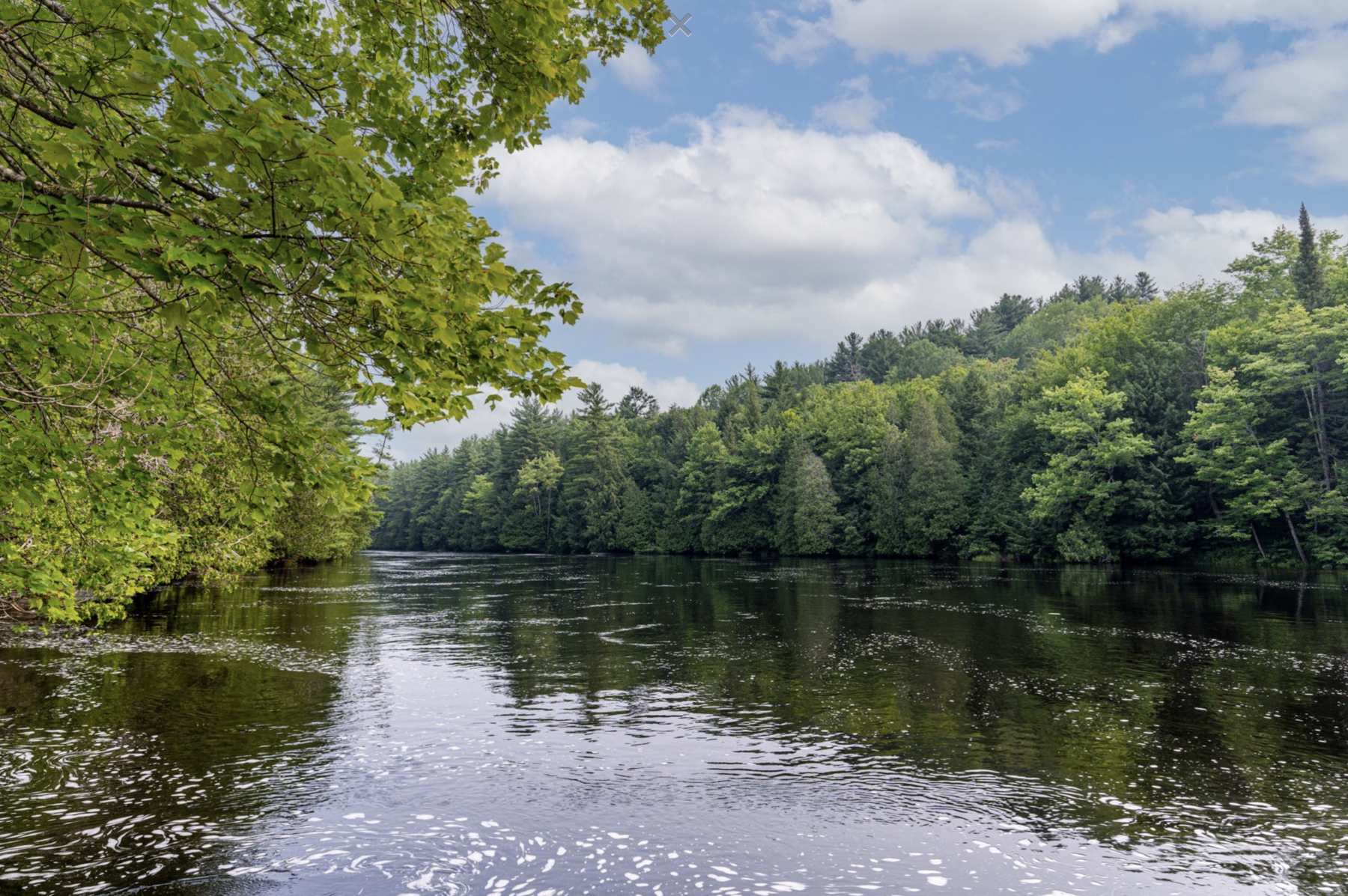 Muskoka River